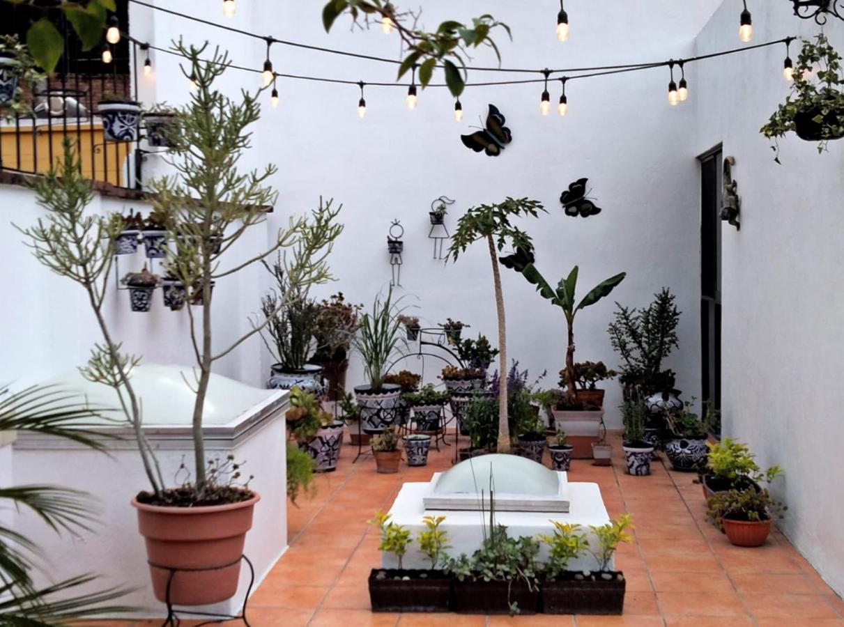 Villa Sueno Azul B&B Guanajuato Exteriör bild